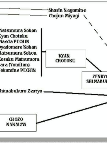 This is the lineage chart of our Shorin-Ryu Seibukan style. It traces our techniques from the ancient masters of Okinawa directly to my teacher, ensuring the authenticity of what we practice.