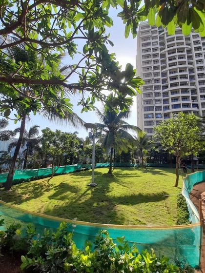 The final result. A beautiful, lush green lawn providing a wonderful recreational space for the residents of this building.
