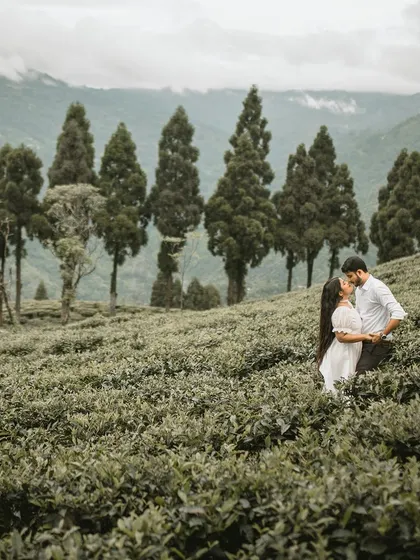 An epic, wide-angle shot of a couple embracing in the middle of a lush Darjeeling tea garden. The rolling hills and rows of trees create a breathtaking backdrop for their love story.