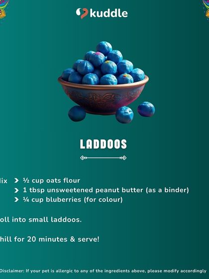 Kuddle - Pet Nutrition Consultation DIY Kitchen: Fun & Safe Recipes photo 9