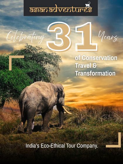 Our Story & Global Community photo 17