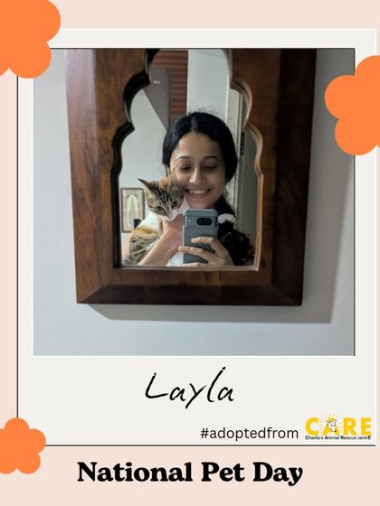 Charlie's Animal Rescue Centre - Animal Rescue & Adoption Happy Tails: Our Adoption Stories photo 29