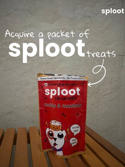 Step 1: Acquire a packet of our Sploot Crunchies. These hand-baked, gluten-free treats are perfect for training sessions.