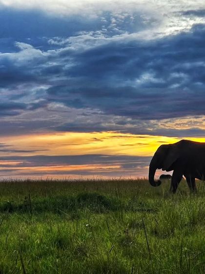 Giants & Other Jewels photo 18