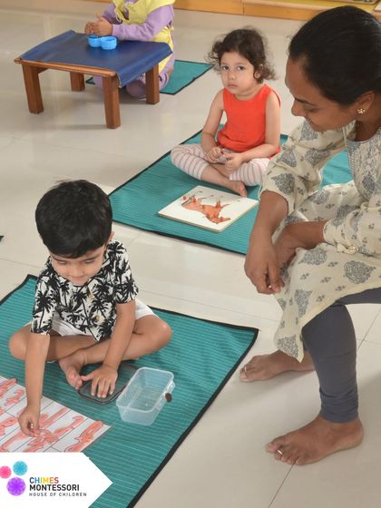 Chimes Montessori - Toddler Program (From 18 months) The Montessori Way: Learning for Life photo 33