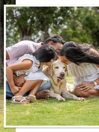 Family & Pet Photography