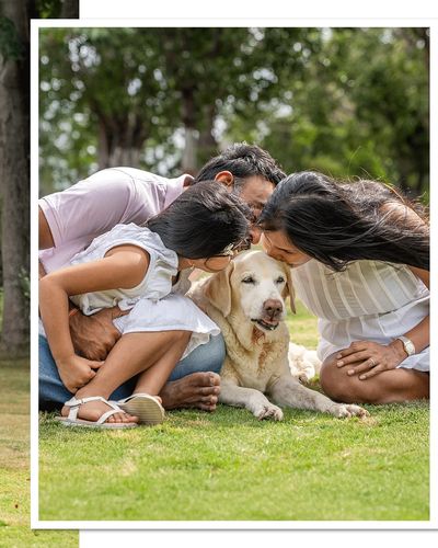 Family & Pet Photography