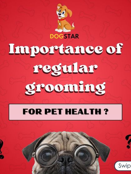 Why is regular grooming so important for your pet's health? This series of graphics breaks down the key benefits, from parasite prevention to dental hygiene.