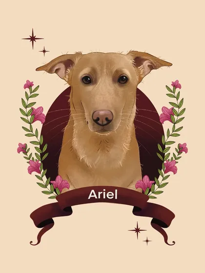 This is a digital portrait of a sweet dog named Ariel. I focused on her soft expression, framing her with a simple floral design and a ribbon banner to create a gentle and loving tribute.