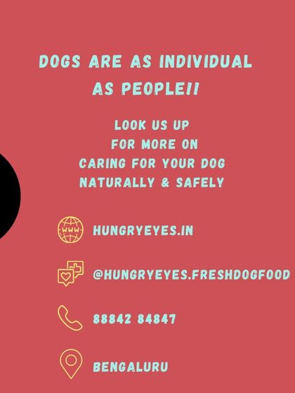 Hungry Eyes - Freshly Cooked Dog Meals Empowering Pet Parents photo 17