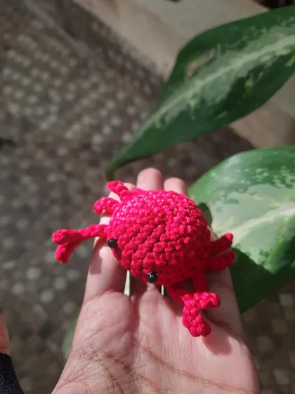 A bright red crab desk buddy, sitting in my hand. The legs and claws are all individually attached to create a realistic, yet cute, crab shape.