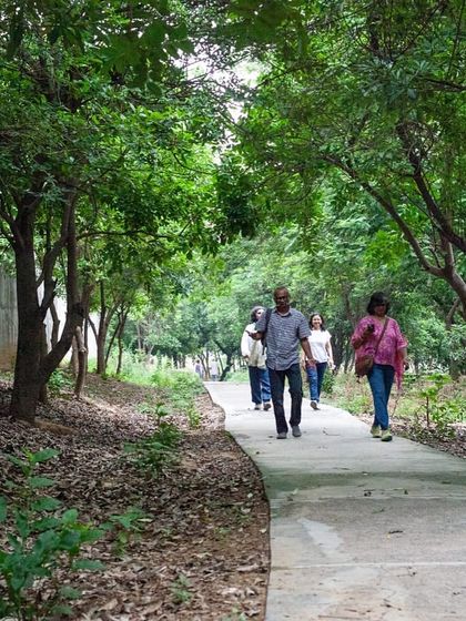Citizens stroll down a paved path through the dense greenery of Aravali Creek, a quiet refuge in the heart of the city.