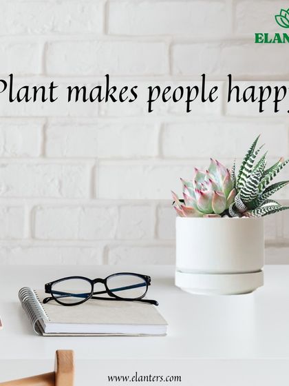 Gifting Green: Plants for Every Occasion photo 9