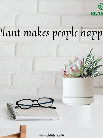 Reason 4: Plants make people happy. It's a simple fact that being around greenery can boost your mood and create a more positive environment.
