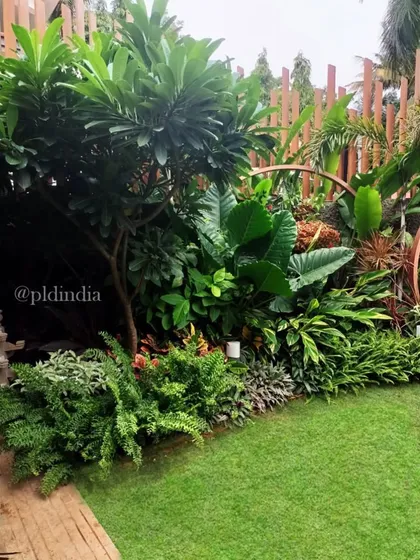 A dense border of ferns, shrubs, and trees creates a rich tapestry of textures and shades of green. This layered approach to planting is a hallmark of our tropical garden designs.