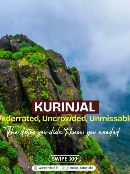 Kurinjal, highlighted as an underrated, uncrowded, and unmissable trek for a true nature detox.