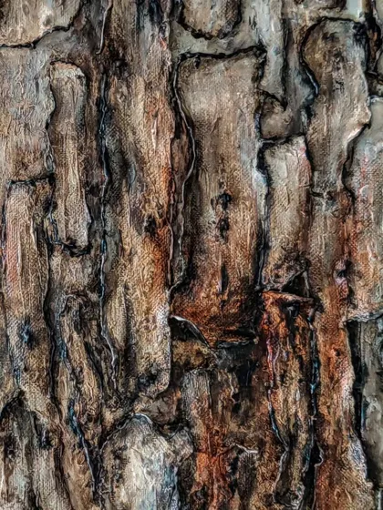 Another close-up of the tree trunk texture. Amidst the roughness, there's a quiet beauty and an inspiring strength that speaks to me.
