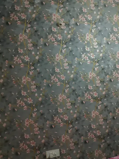 Ansari - Wallpaper & Mural Installation Nature & Floral Designs photo 12