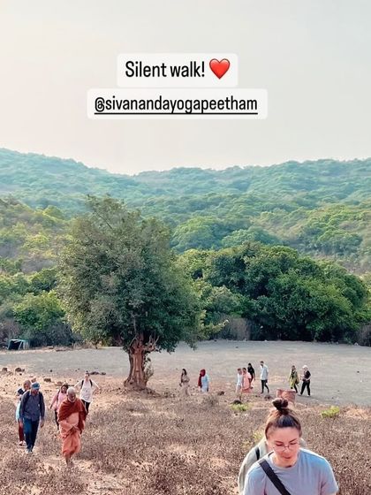 A silent walk, or 'mauna', through the natural landscape surrounding the ashram. This practice of observing silence helps to quiet the internal chatter and cultivate a state of mindful awareness.