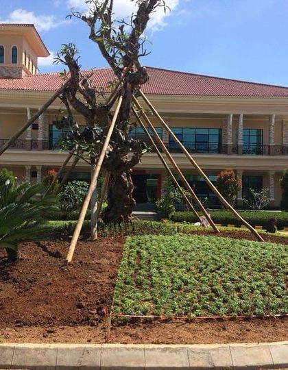 Public Infrastructure & Parks photo 6