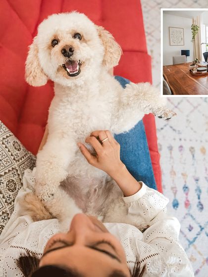 A unique perspective showing Dinkan enjoying a belly rub from his mom. This playful and intimate shot perfectly captures the term "momma's boi".