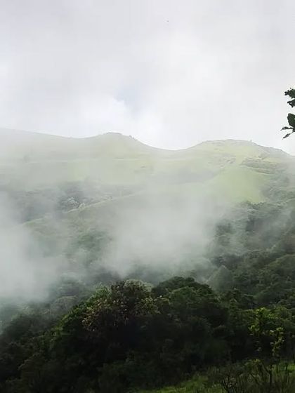 Puneeth - Cinematography for Film & Digital Media Wildlife & The Western Ghats photo 32