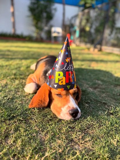 Just five more minutes. We love you, Simba, and we're so glad we could celebrate with you.