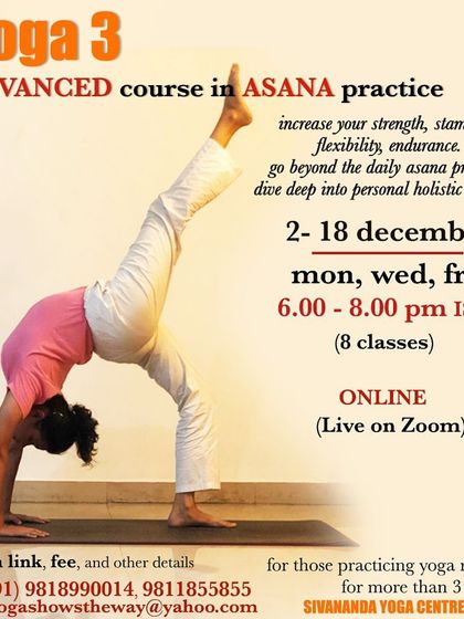 Information about our online Advanced Course in Asana Practice, designed to build strength, stamina, and endurance with over 80 asanas.