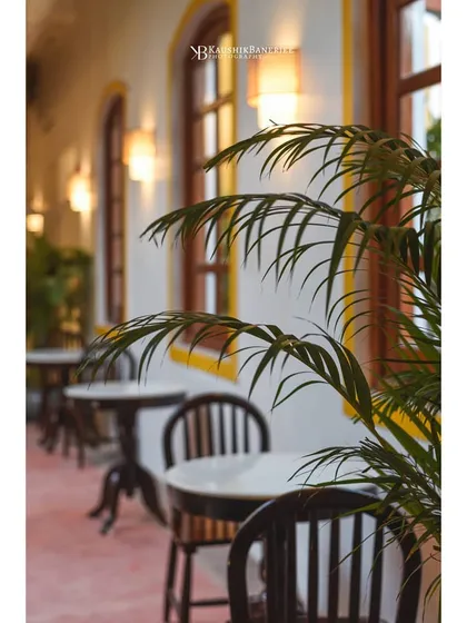 A closer look at the seating at Colocal, with a focus on the foreground plant to add depth and a natural element. This composition draws the eye down the line of tables, giving a sense of the space's layout.