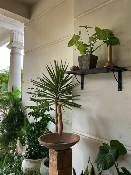 Small details matter. A simple plant on a shelf and a sculptural piece on a wooden block add character and a lived-in feel to the set's porch area.