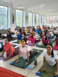 Corporate & Private Group Yoga