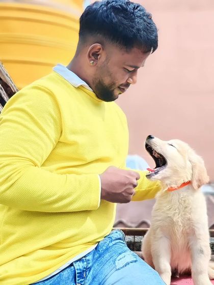A candid moment with a playful Golden Retriever puppy. Work is worship, and my work is caring for these amazing animals.