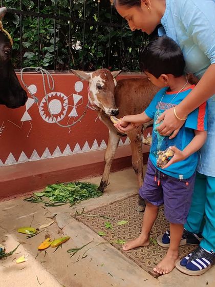 Ken Montessori - Montessori Summer Camp Learning Beyond the Classroom photo 7
