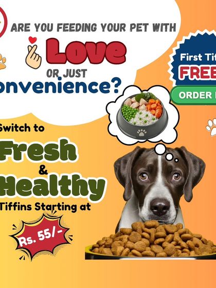 Are you feeding your pet out of love or just for convenience? This image contrasts a thinking dog looking at his kibble with the fresh, healthy alternative. My tiffins are both loving and convenient, and they start at just Rs. 55.