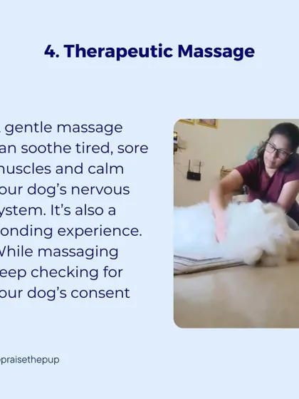 A gentle, therapeutic massage can soothe sore muscles and calm a dog's nervous system, especially after a stressful event. It's also a wonderful bonding experience, and I always watch for signs of consent to ensure they are enjoying it.