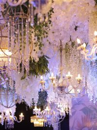 Wedding Design & Decoration