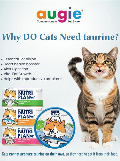 Augie Pets - Pet Supplies For Our Feline Friends: Premium Cat Nutrition photo 10
