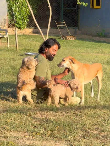 This is my happy place, surrounded by a pack of trusting, joyful dogs of all shapes and sizes. Being accepted as part of their group is the greatest compliment. It shows that they feel secure and understood, which is the ultimate goal of my work.