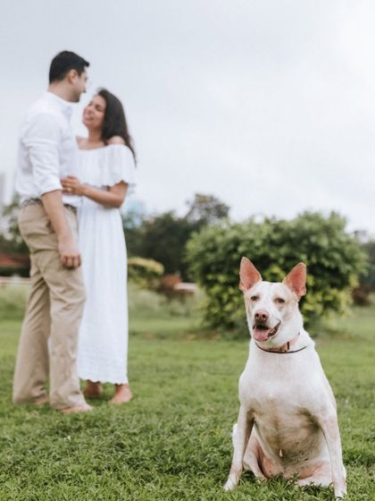 Vrutika Doshi - Pet Photography Outdoor & Family Sessions photo 5