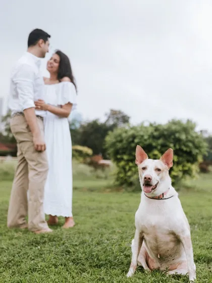 I often create compositions that make your pet the star of the show. In this shot, the dog is in sharp focus in the foreground while his loving parents share a quiet moment behind him, telling a complete family story.