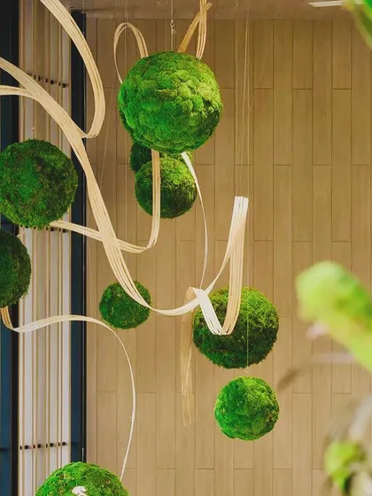 Floating green moss balls, or kokedama, create a whimsical and artistic installation. Suspended at varying heights, they add a sense of movement and natural wonder to the space.