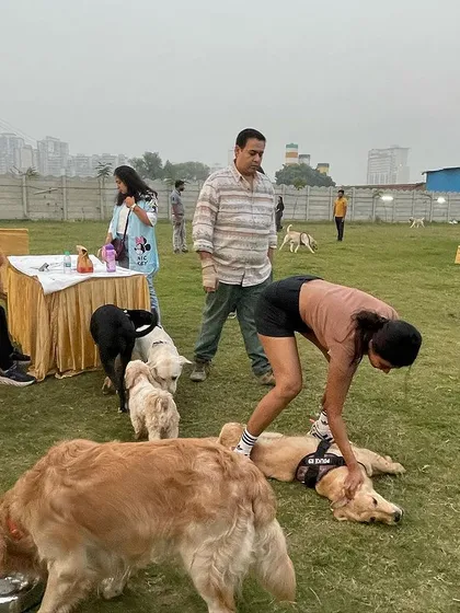 Guests and their dogs gathering around the activity tables during an event. It's a wonderful, relaxed atmosphere for everyone.
