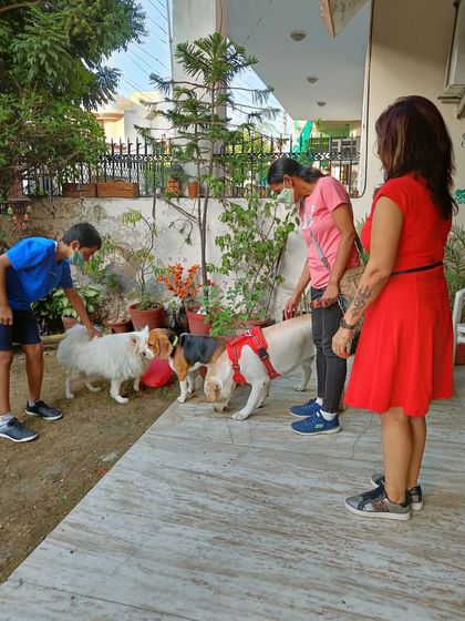 The birthday boy Pablo and his friends getting some love from their human guests. My parties are a social event for both people and their pets.