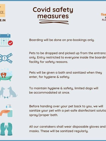 Petspace - Dog Boarding Your Peace of Mind: Safety & Comfort photo 3