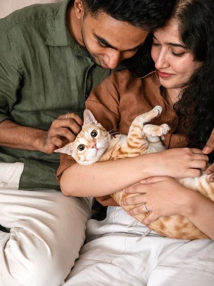 A candid moment where Toffee the cat looks directly at the camera while being cuddled by his loving parents. His expressive eyes make this a captivating portrait.