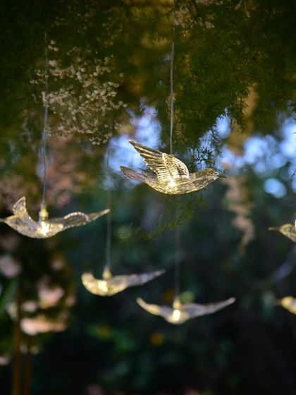 Celebrides - Event Planning & Decoration Outdoor & Resort Events photo 10