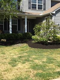 Landscape & Property Maintenance