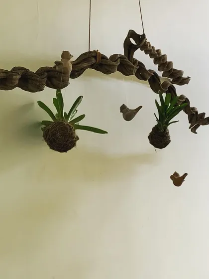 I designed this hanging wall art to be a living sculpture. It features two Kokedama moss balls, each with a hardy, air-loving plant, suspended from a piece of twisted driftwood. The little bird figures add a touch of whimsy, making this a unique piece of vertical garden decor for any empty wall.