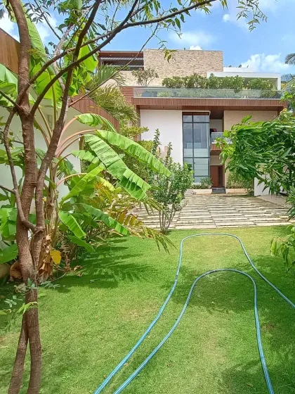 A view from the backyard of the same residential project, showing a healthy green lawn and banana trees. I focus on creating gardens that are not just beautiful but also usable for the family.