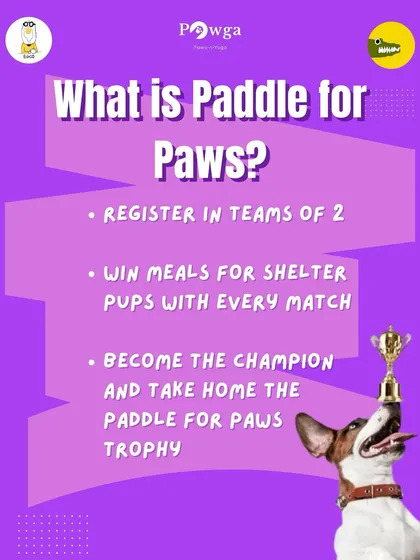 Here’s how it works. This info-graphic breaks down the Paddle for Paws tournament rules: register in teams of two, win matches to earn meals for pups, and compete to become the champion.